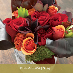 SBella Sera Floral Arrangement