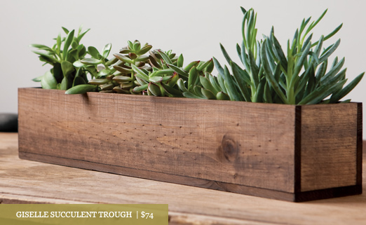 Giselle Succulent Trough