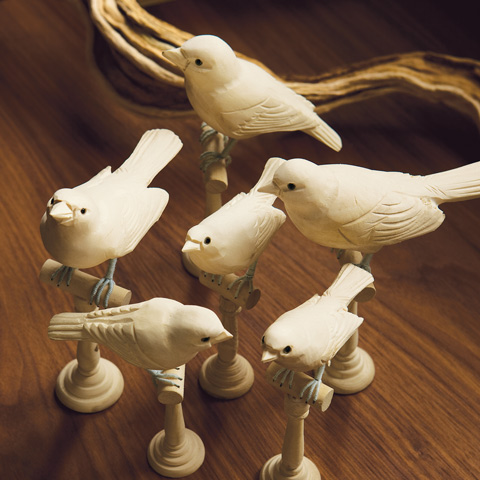 Woodland Birds