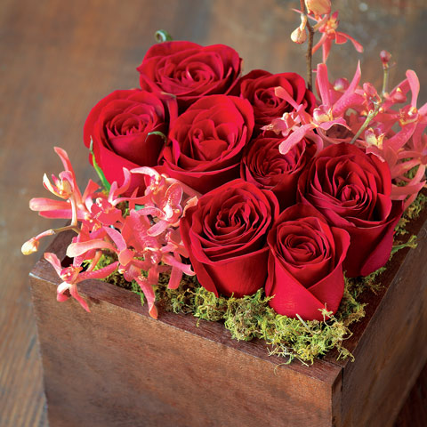 Rococo Scarlet Blooms
