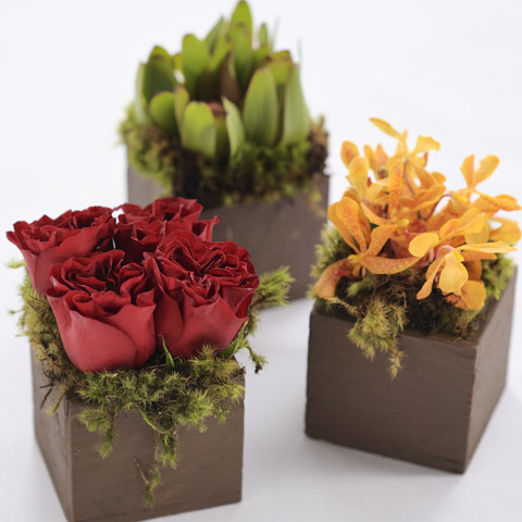 Trio of Origami Blooms