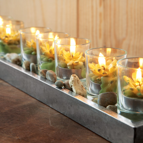 Succulent Candle Garden