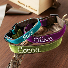 Personalized Royal Oxford Dog Collar
