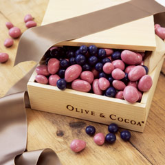 Chocolate Covered Strawberries & Blueberries