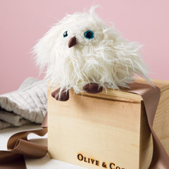 Petunia Olive Owl