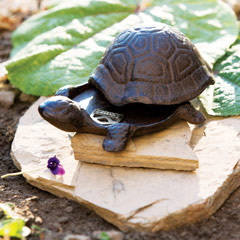 Tilley Turtle Key Holder