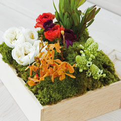 Jardin De Fleurs