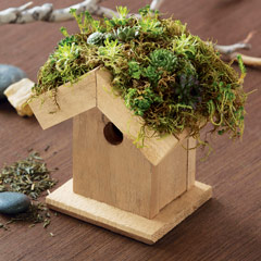 Succulent Birdhouse