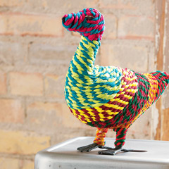 Chindi Duck