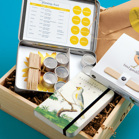 Bird Attraction Kit