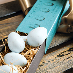 Robin's Egg Nest Soaps