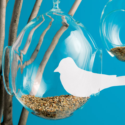 Glass Hurricane Bird Feeder
